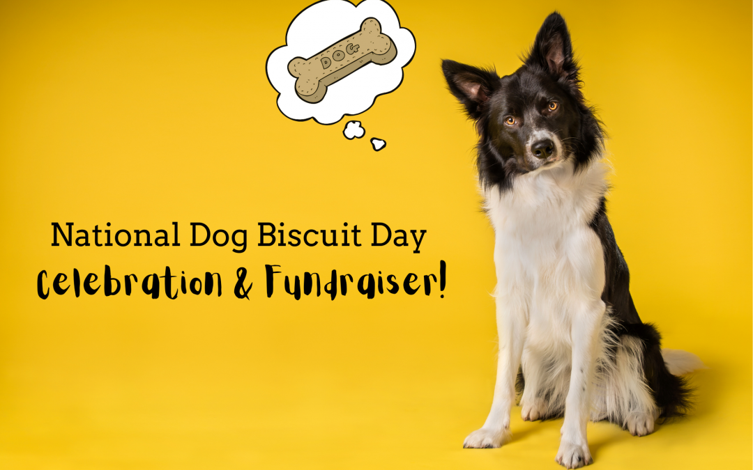 National Dog Biscuit Day Celebration & Fundraiser
